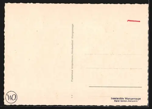 AK Wangerooge, Strandpromenade, Leuchtturm Roter Sand, Bahnhof, Seehunde und Möwen