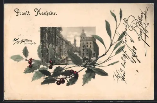 AK Graz, Strasse Herrengasse, Zweig, Neujahrsgruss