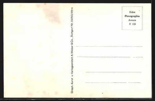 AK Eger, Strassenpartie im Zentrum