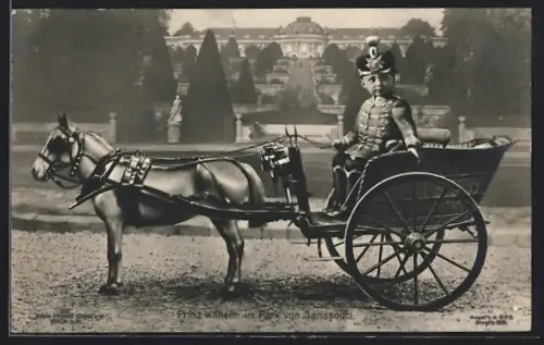 AK Prinz Wilhelm in Husaren-Uniform, im Park von Sanssouci