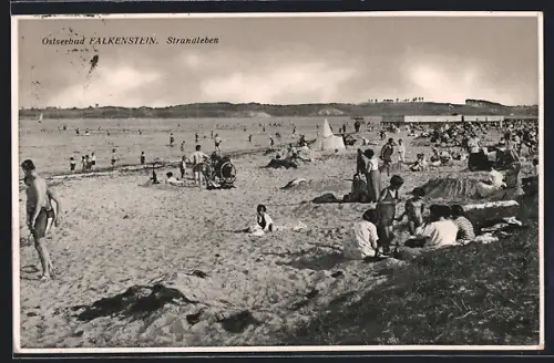 AK Falkenstein / Ostseebad, Strandleben