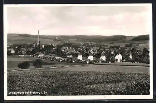 AK Weissenborn bei Freiberg, Ortsansicht mit Wohnhäusern