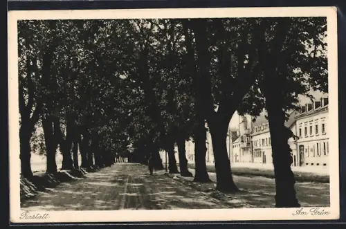 AK Rastatt, Strasse am Grün
