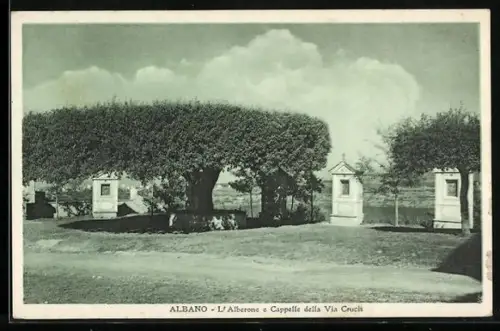 AK Albano, L`Alberone e Cappelle della Via Crucis