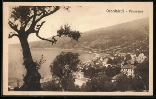 AK Ospedaletti, Panorama