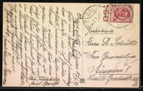 AK Ospedaletti, Panorama