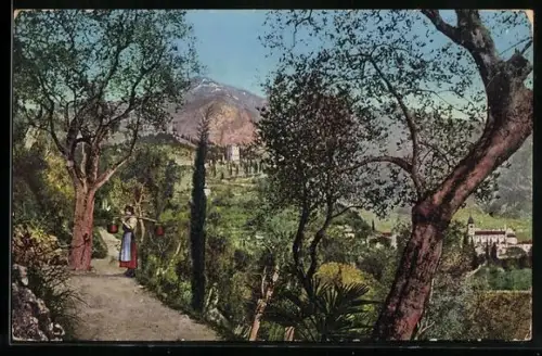 AK Arco, Vista dal Olivetto