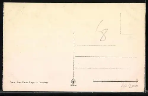 AK Dobbiaco, Veduta Generale