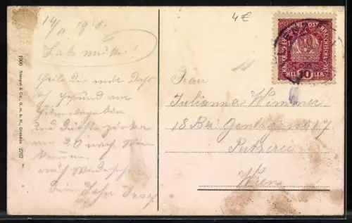 AK Toblach, Panorama