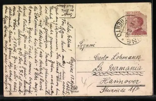 AK Pergine, Panorama