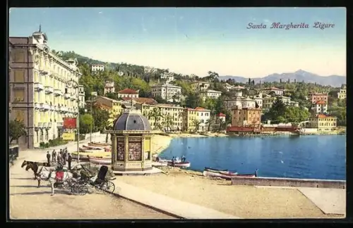 AK Santa Margherita Ligure, Panorama