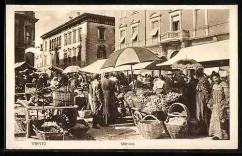 AK Trento, Mercato