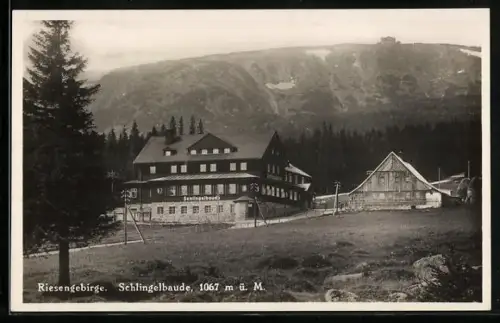 AK Riesengebirge, Schlingelbaude