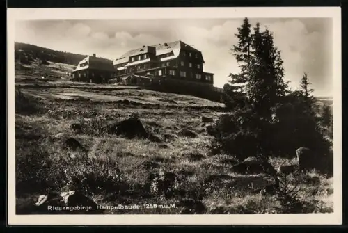 AK Hampelbaude /Riesengebirge, Blick hoch zur Baude