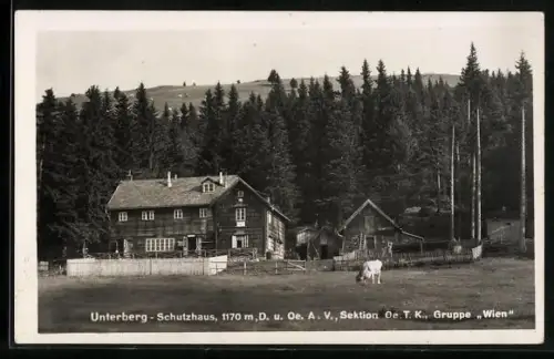 AK Unterberg-Schutzhaus, Weide vor der Hütte