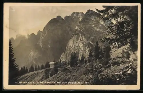 AK Gablonzerhaus Dachsteinblick /Zwieselalm, Blick zur Hütte