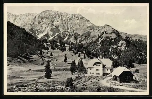 AK Alpenpension Plöckenhaus mit Moos- und Gamskofel