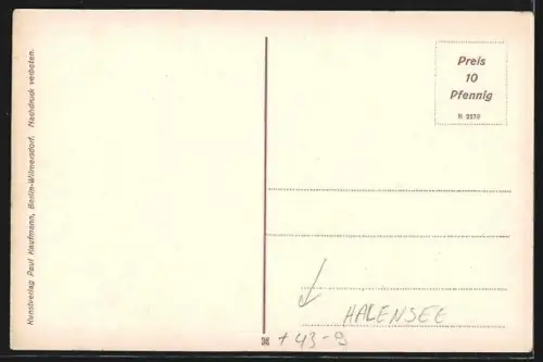 AK Berlin-Halensee, Volksfelst im Luna-Park, Terrassen am Halensee