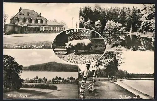 AK Dersau a. Gr., Gasthaus Zur Mühle, Inh. Walter Jahn