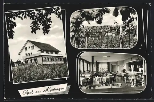 AK Hertingen bei Bad Bellingen, Gasthaus und Pension Hebelhof, Inh. H. Kallmann