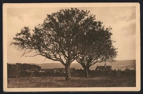 AK Altenberg bei Wetzlar, Hofgut der Buderus`schen Eisenwerke