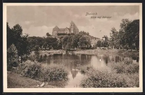 AK Breisach, Blick auf Münster