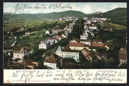 AK Bad Wildungen, Brunnenallee, Gesamtansicht