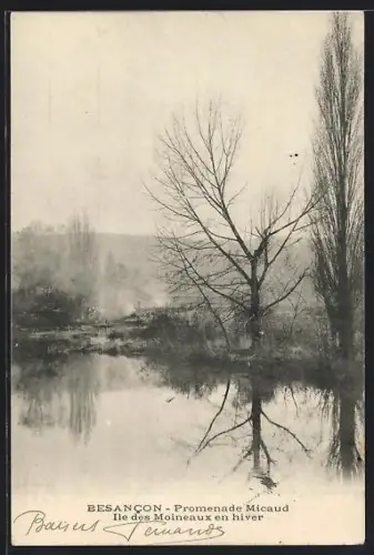 AK Besancon, Promenade Micaud, Île des Moineaux en hiver