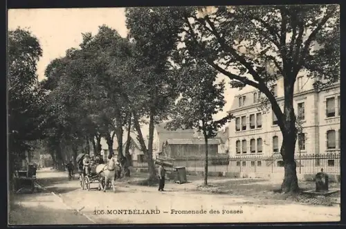 AK Montbéliard, Promenade des Fossés avec calèche et bâtiments historiques