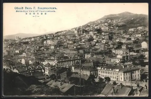 AK Vladivostok, Bird`s Eye View