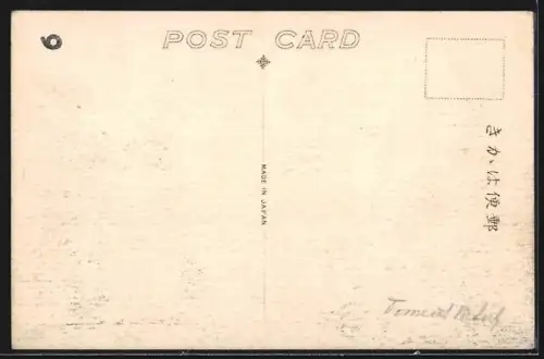 AK Vladivostok, Bird`s Eye View