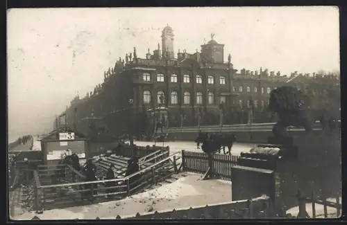 AK St. Pétersbourg, Le Palais d`Hiver