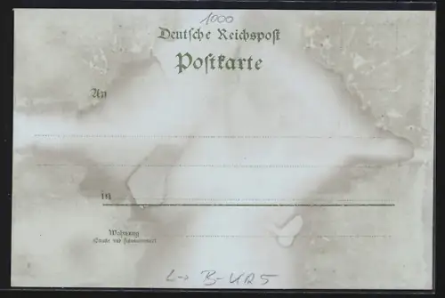 Lithographie Berlin-Kreuzberg, Belle-Alliance-Platz mit Strassenbahn