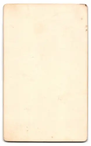 Fotografie Otto Wigand, Nordhausen, Bäckerstrasse 11, Elegantes Porträt einer Frau