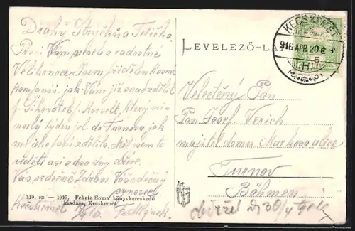 AK Kecskemét, Stadttheater