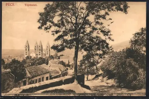 AK Pécs, Tájrészlet