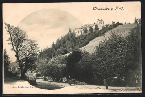 AK Thomasberg /N.-Ö., Ortsansicht mit Strasse