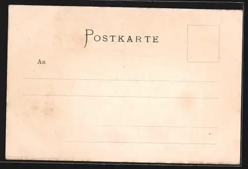 AK Thomasberg /N.-Ö., Ortsansicht mit Strasse
