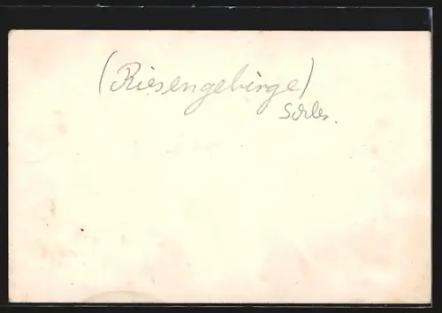 AK Wiesenbaude /Riesengebirge, Berghütten des Riesengebirges, Gasthaus Kesselkoppe, Wanderer