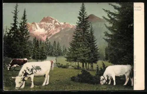 AK Croda rossa, Panorama