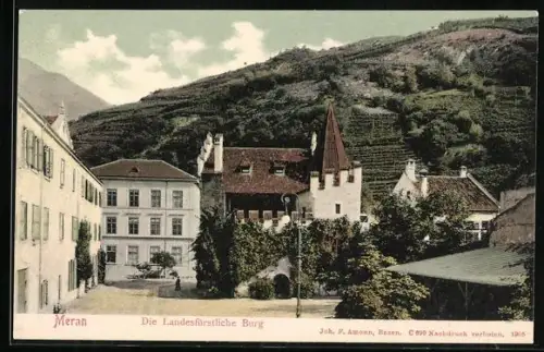 AK Meran, Die Landfürstliche Burg