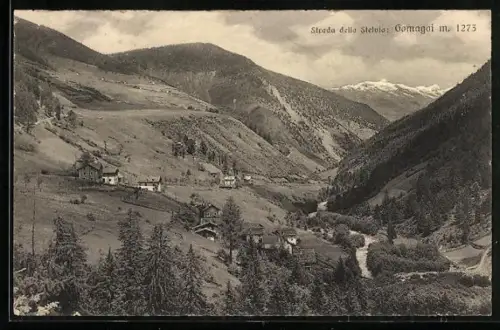 AK Gomagoi, Strada della Stelvio