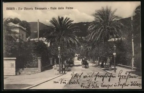 AK Nervi, Via Vittorio Emanuele, Viale delle Palme