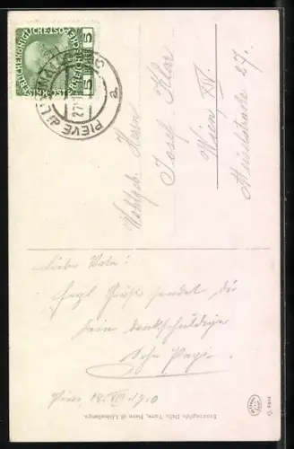 Künstler-AK Rudolf Alfred Höger: Pieve di Livinallongo, Panorama
