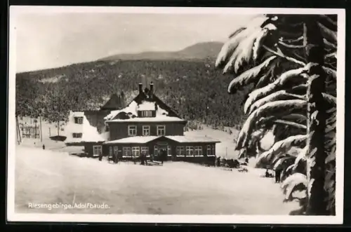 AK Adolfbaude /Riesengebirge, Berghütte im Schnee