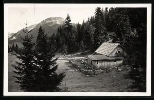 AK Alpenrosehütte auf der Sauwand