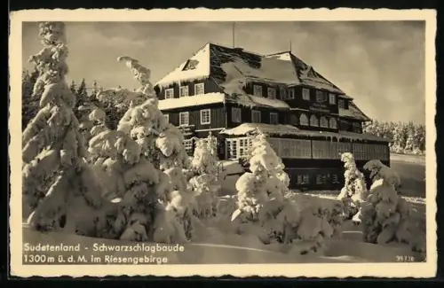 AK Schwarzschlagbaude im Riesengebirge, Berghütte im Schnee
