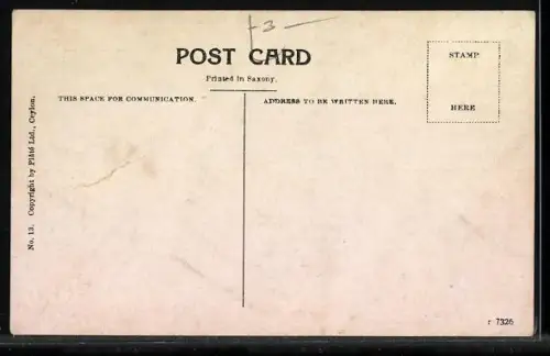 AK Ceylon, A Tamil Lady in Rickshaw