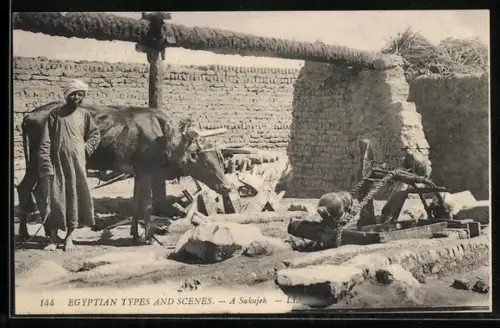 AK Ägypten, A Sakiyeh, Bauer mit Ochsen am Brunnen