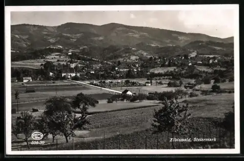 AK Eibiswald, Panorama mit Ort und Bergen